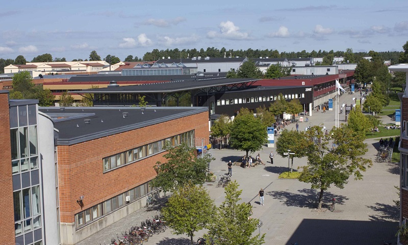 تحصیل رشته مهندسی کامپیوتر در کشور سوئد